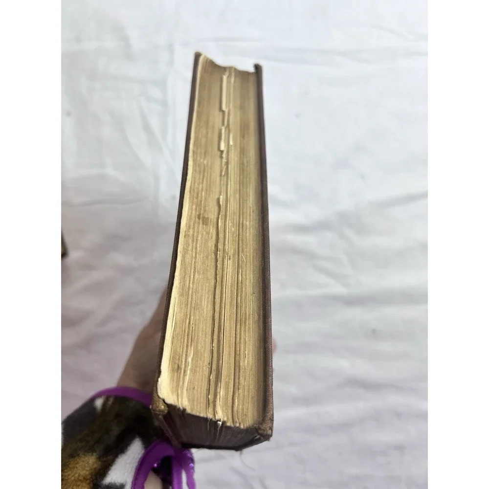 Wit And Humor For The Household 1883  Antique Book